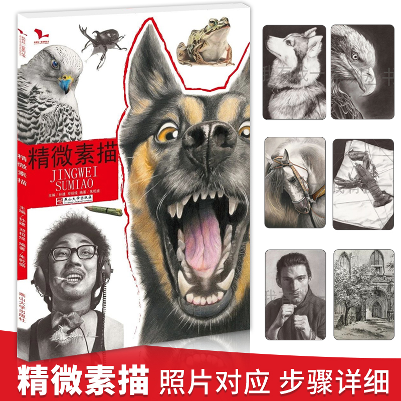 精微素描 我有我一套精微素描体系零基础美术手绘动物昆虫高清素材精微临摹体系范本写实绘画花鸟鱼植物入门技法教程江振坤素描书