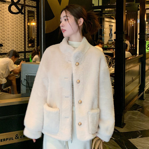 小香风立领仿水貂毛绒环保皮草女冬季2025新款高级感上衣毛毛外套