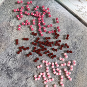 迷你亮面kitty猫凯蒂粉色玫红酒红蝴蝶结diy美甲饰品组合款 配饰