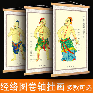 十二经络解图人体穴位挂图任督二脉中医针灸12经络走向图医院药店