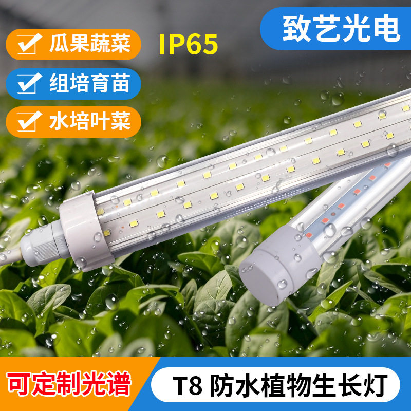 植物灯T8防水ip65无土栽