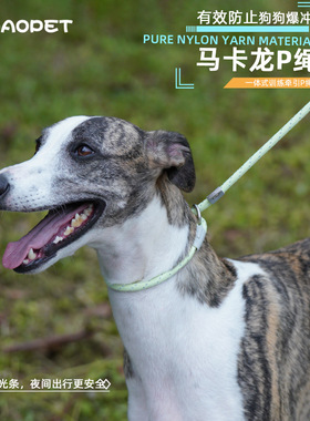 WAOPET牽繩P绳马卡龙大小狗狗锁喉窒息拉绳狗绳宠物用品牵引绳