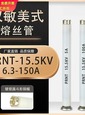 插入式熔断器配套双敏熔丝PRNT-15.5KV/63A美式箱变油浸式熔断器