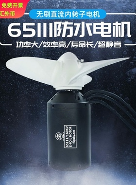 IP68等级65111直流无刷电机160KV 3000W 推进器冲浪板