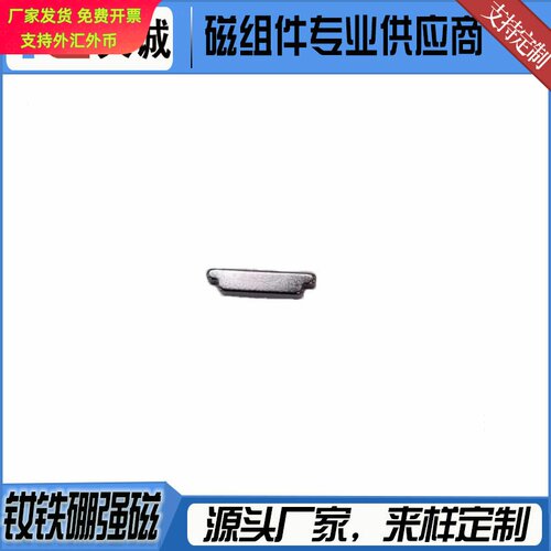 滑雪眼镜磁铁梯形T型磁钢面包型