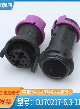 2P汽车放水连接器2芯大功率公母对接线束插头DJ70217-6.3-11/21