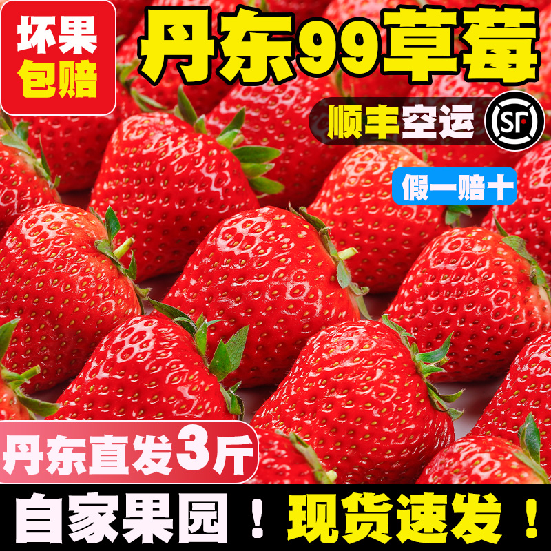 【顺丰空运】丹东99草莓现货直达