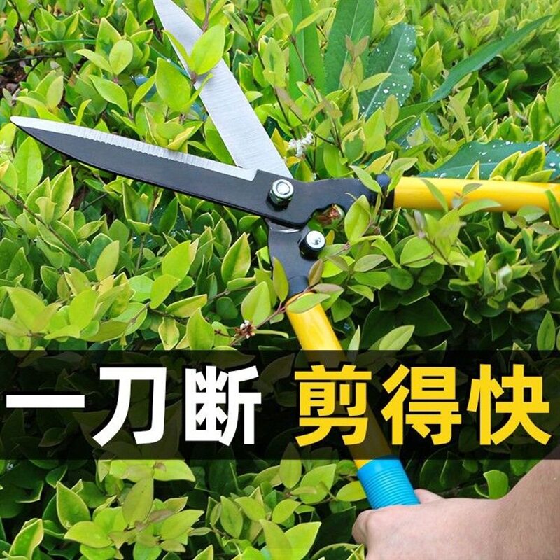 园艺大剪刀园林花剪修枝剪修剪草坪专用绿篱剪强力修剪树枝粗枝i.图片