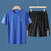 运动套装 休闲两件套篮球健身服宽松t恤跑步速干衣 夏季 男短袖 短裤