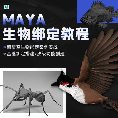 课程通过对三种不同类型的生物的绑定演示
