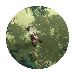 AE教程二维动画后期商业系统教学After Effects多案例视频课程