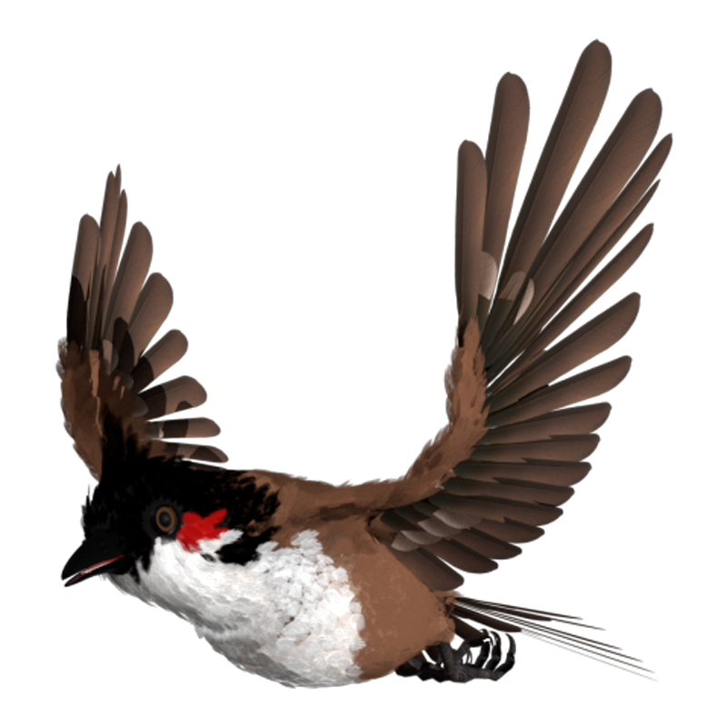 翼狐Maya教程生物绑定海陆空生物多案例实战全流程教学视频课程