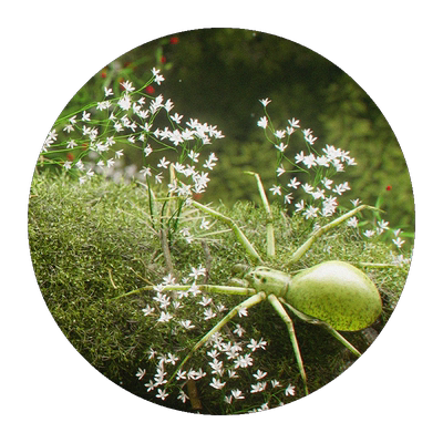 C4D场景教程OC渲染影视级疯狂场景小组视觉全流程AE合成视频课程