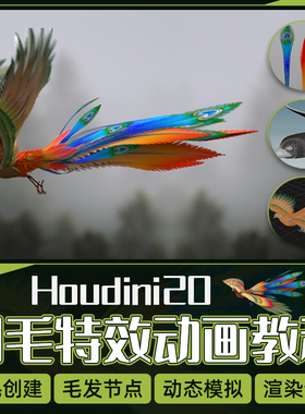 Houdini20教程生物毛发特效凤舞九天羽毛动态模拟Karma渲染全流程