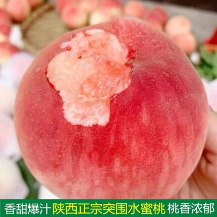 （小赵推荐）陕西突围水蜜桃露天脆桃新鲜采摘果园直发包邮