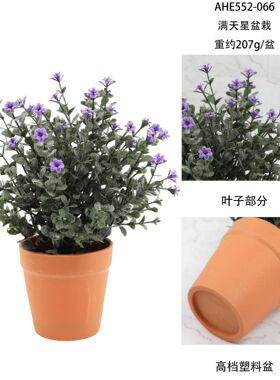 仿真绿植漫天星盆栽亚马逊家居装饰摆件桌面迷你小盆栽人造假