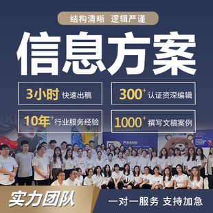 代写信息化项目建设方案系统技术方案改造实践施工研究总结ppt做