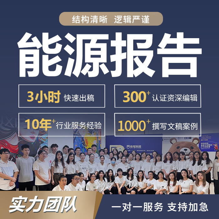 代写氢能源报告燃料电池汽车市场可行性研究报告项目计划方案ppt