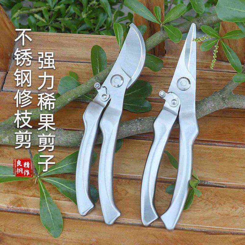 全钢修枝剪不锈钢剪枝修剪树枝果树盆景花卉园艺摘果专用水果剪刀图片