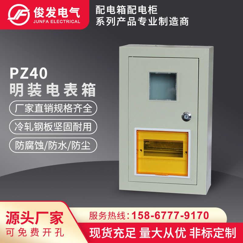 PZ40明装电表箱1/2/3/4/6/8户单相家用配电箱铁质挂墙强电箱直销