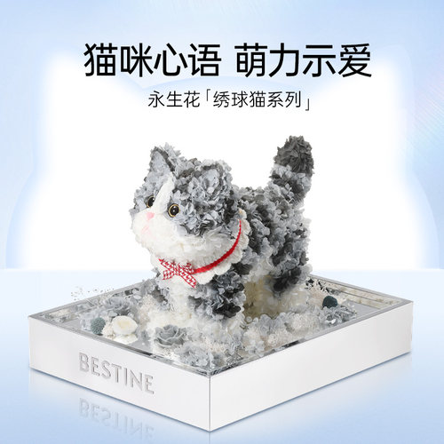 BESTINE永生花绣球橘猫送女友