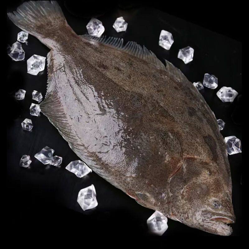 6斤深海鲽鱼比目鱼鸦片鱼整条带头新鲜海鲜冷冻水产一斤以上/条