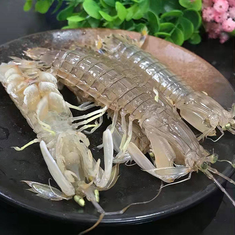 皮皮虾海鲜熟冻椒盐新鲜蒸熟冻海虾濑尿虾虾爬子中号大号送椒盐