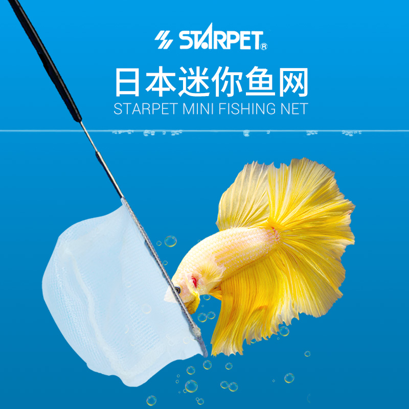 精致迷你小鱼捞