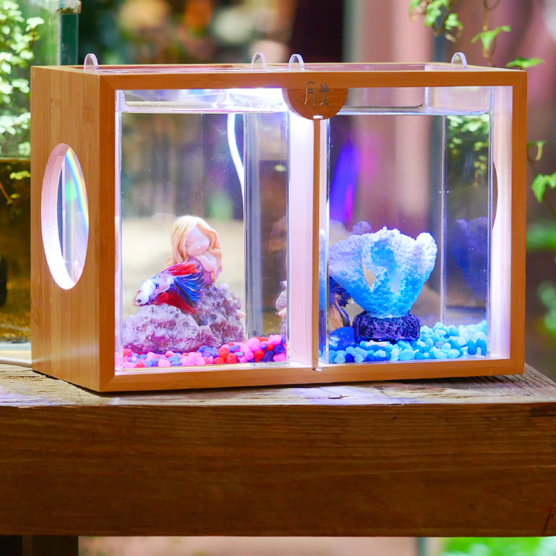双格斗鱼缸桌面创意懒人专利产品