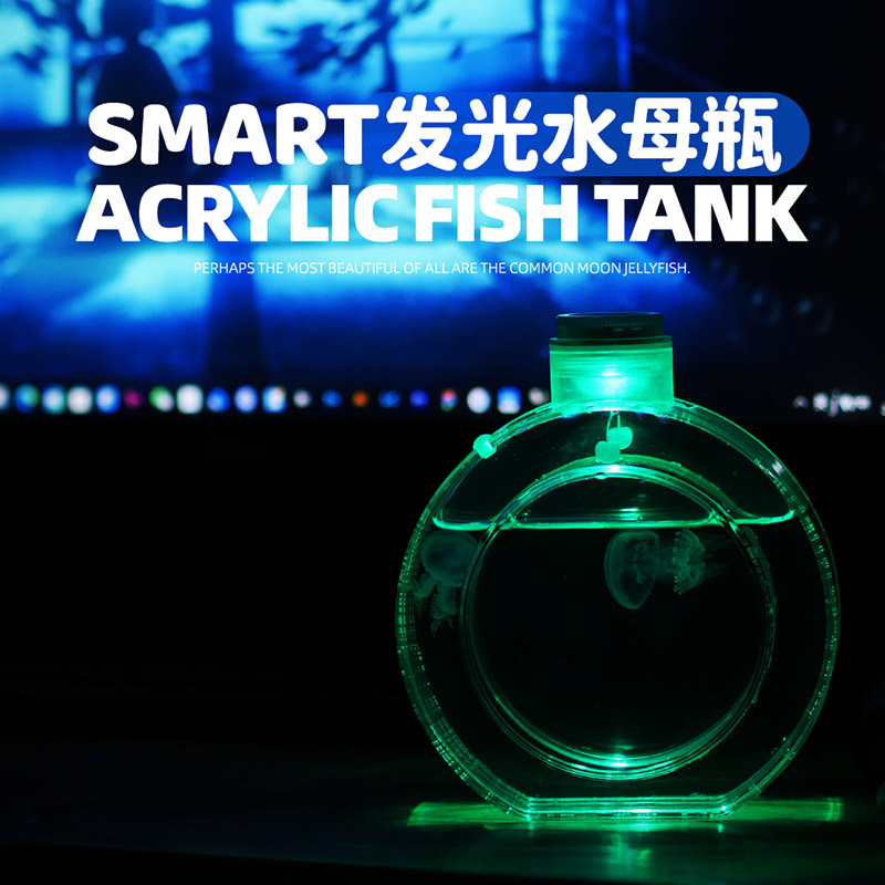 水母瓶迷你活体小鱼缸