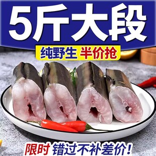 顺丰野生鳗鱼段海鳗鱼海鲜生鲜新鲜冷冻海中段大段鳗鱼深海海捕切