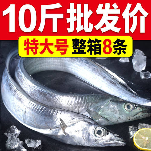 【整条特大带鱼】新鲜冷冻正整条带鱼刀鱼整箱东海小眼带鱼无冰