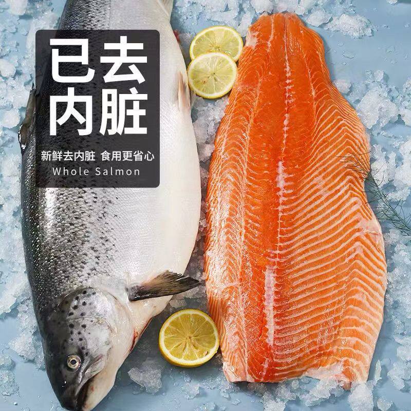 新疆国产三文鱼新鲜即食整条刺身寿司三文鱼开片去刺批发