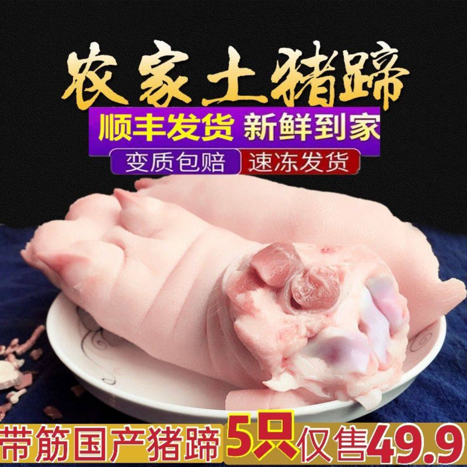 新鲜带筋猪蹄整只猪手猪脚猪爪家用酒店烧烤食材卤猪蹄