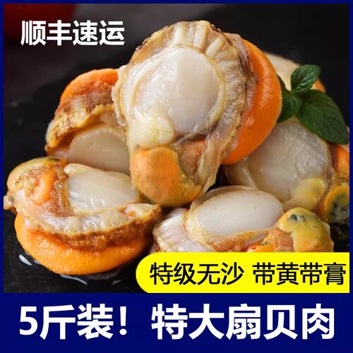 新鲜冷冻带黄带膏无沙去壳扇贝肉