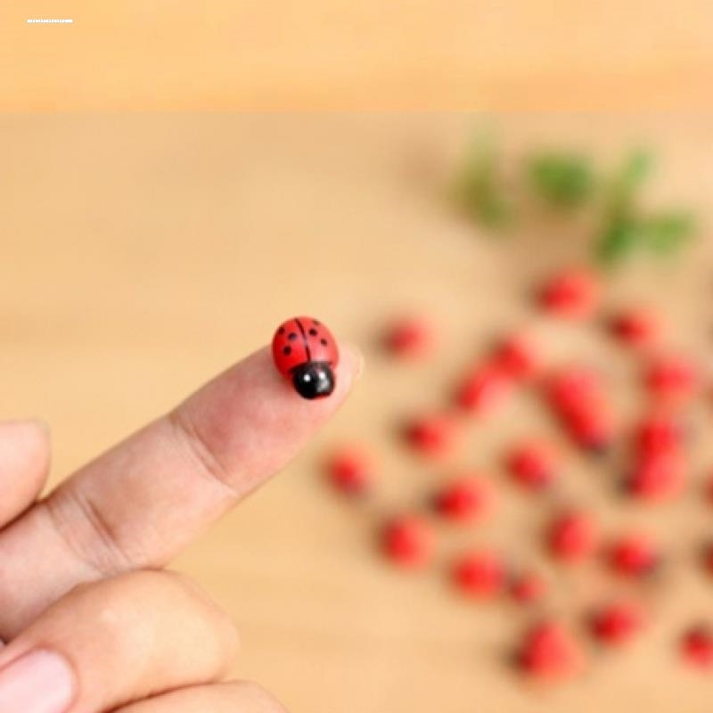 苔藓微景观摆件仿真甲壳虫七星瓢虫摆件配件多肉雨林水路缸摆件
