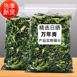 优质脱水万年青250g青菜干鲜嫩菜心脱水蔬菜干干货菜类泡面伴侣