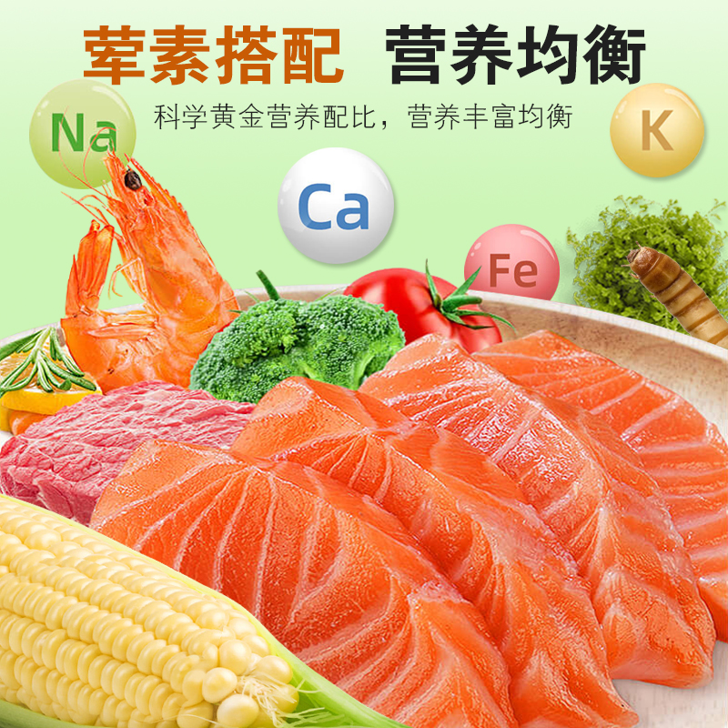 现货速发黄缘龟粮黄缘盒龟乌龟饲料黄缘闭壳龟安缘台缘幼龟发色龟