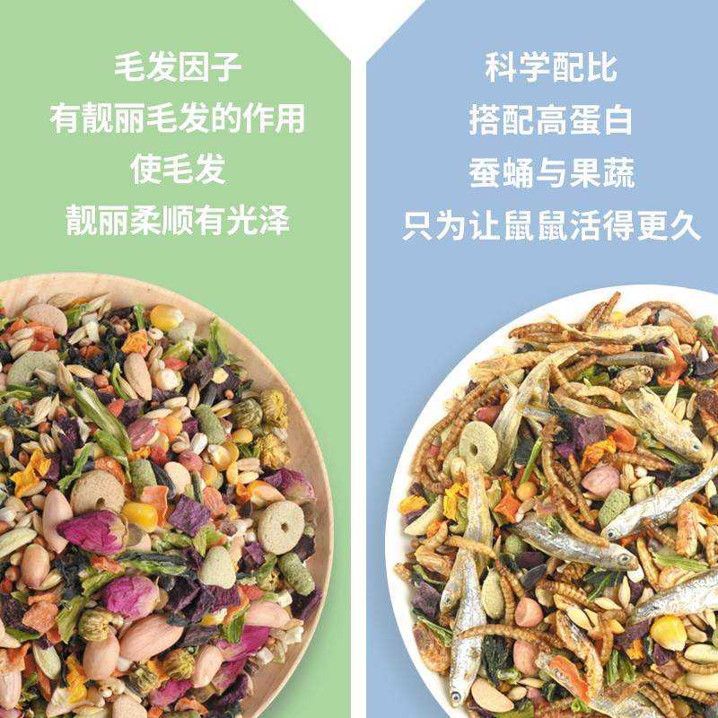 现货速发仓鼠粮食主粮营养主食金丝熊饲料花枝鼠粮食物用品2桶装