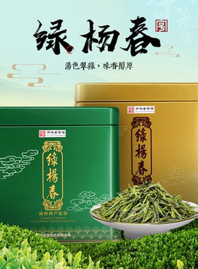 2026新茶 2680绿杨春茶叶绿茶明前嫩芽春茶 特一级精制绿杨贡春