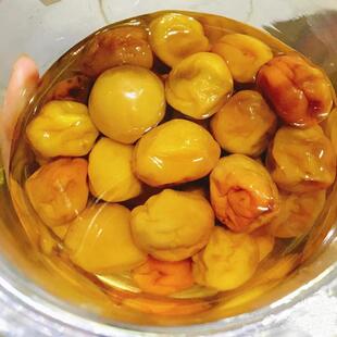 直供潮汕特产 腌制咸水梅 青梅盐水梅 酸梅调料 咸酸梅青竹梅梅汁