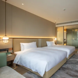 上海松江温德姆花园1晚商务房+次日双人早餐+含双人欢乐谷门票