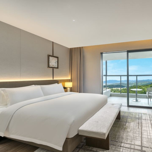 3D裸眼体验馆 温泉 新丰温德姆花园酒店1晚套餐 宵夜