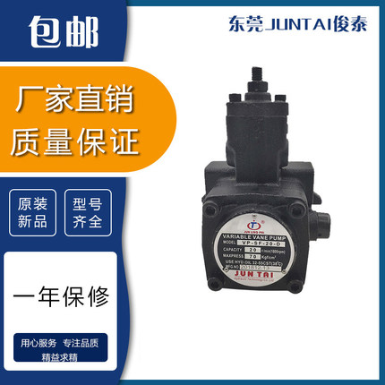 东莞JUNTAI俊泰70kg液压油泵JUNLINGPAI变量叶片泵VP-SF-30/40-D