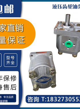 剪板机拖拉机升降台液压油泵高压齿轮泵CBN-F304 F306 F310 F316