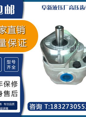 阜新液压厂高压齿轮泵CBF-E10P E18P E25P E32P E40P E63P E80ALP