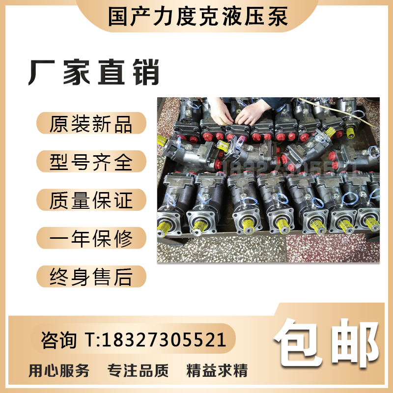 XP50-0517625法国力度克国产XPi50-0523770国产力度克液压泵