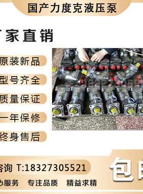 XP50-0517625法国力度克国产XPi50-0523770国产力度克液压泵
