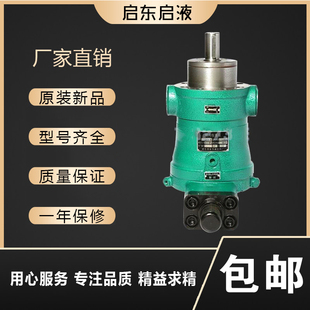 启东启液10 160 1B轴向柱塞泵 250YCY14 100