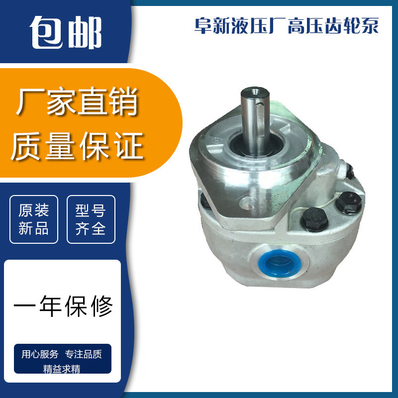 阜新液压厂高压齿轮泵CBF-E10P E18P E25P E32P E40P E63P E80ALP图片